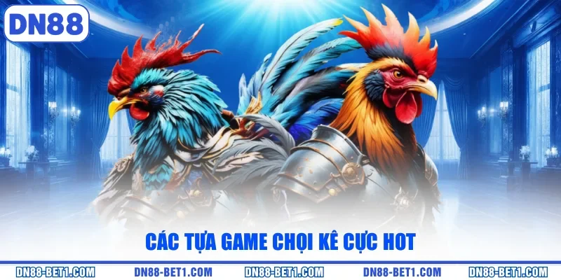 Đá Gà DN88 - Trải Nghiệm Đặt Cược Trận Đấu Hấp Dẫn 2026 Đá Gà DN88 - Trải Nghiệm Đặt Cược Trận Đấu Hấp Dẫn 2026