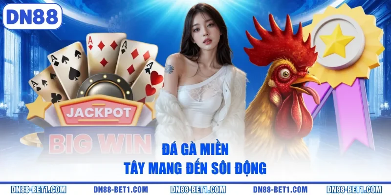Đá Gà Miền Tây - Thưởng Thức Các Trận Chiến Kịch Tính Đá Gà Miền Tây - Thưởng Thức Các Trận Chiến Kịch Tính