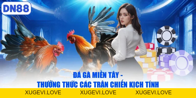 Baccarat Live - Trải Nghiệm Sòng Bạc Đỉnh Cao Tại Nhà