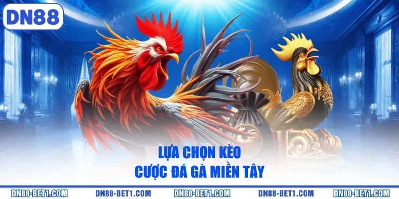 Đá Gà Miền Tây - Thưởng Thức Các Trận Chiến Kịch Tính Đá Gà Miền Tây - Thưởng Thức Các Trận Chiến Kịch Tính