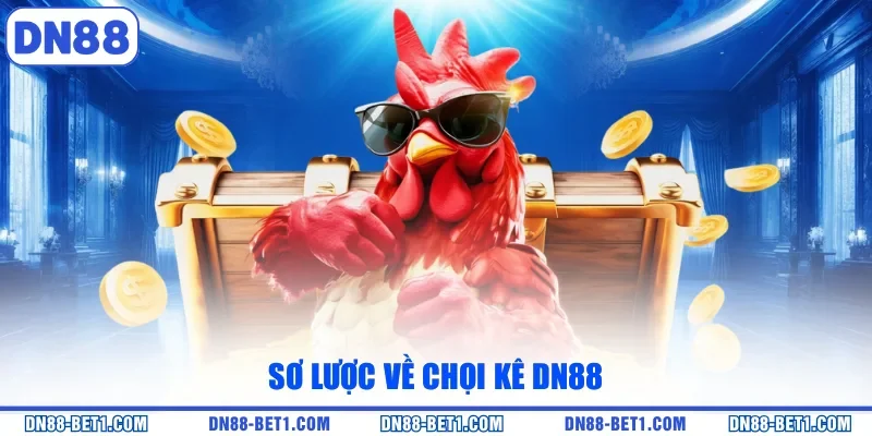 Đá Gà DN88 - Trải Nghiệm Đặt Cược Trận Đấu Hấp Dẫn 2026 Đá Gà DN88 - Trải Nghiệm Đặt Cược Trận Đấu Hấp Dẫn 2026